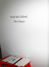 Niall McClelland-60